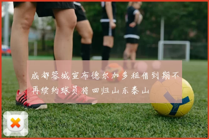 成都蓉城宣布德尔加多租借到期不再续约球员将回归山东泰山